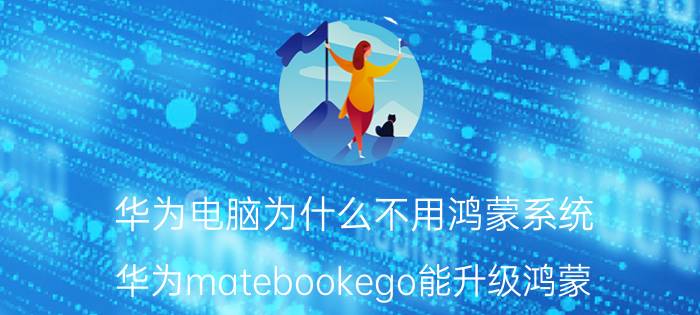 华为电脑为什么不用鸿蒙系统 华为matebookego能升级鸿蒙？